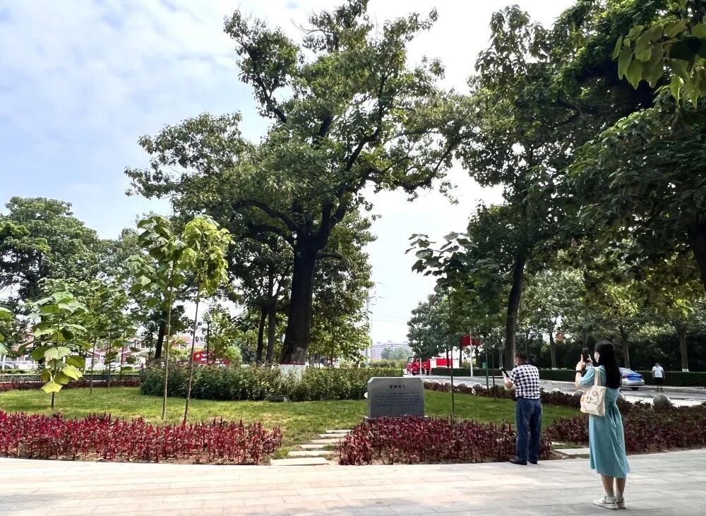 微信图片_2026-07-03_091809_792.jpg